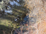 HARMONY MINE, Placer Claim, Pinto Creek, Washington County, Utah