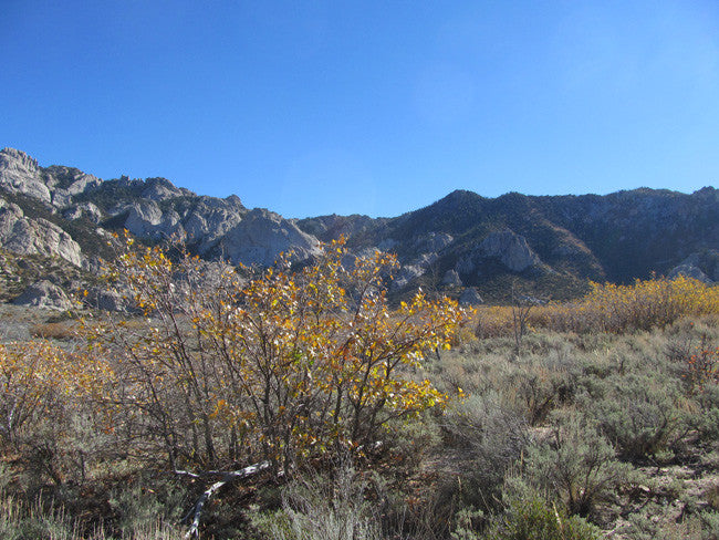 GRIMSEL SMOKY, Placer Mining Claim, Rock Creek, Beaver County, Utah