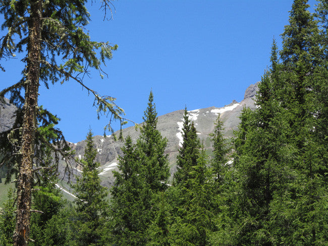 CUNNINGHAM GOLD Placer Mining Claim, S. Fork Mineral Creek, San Juan County, Colorado