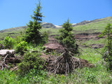 KING SOLOMON GOLD Placer Mining Claim, S. Fork Mineral Creek, San Juan County, Colorado
