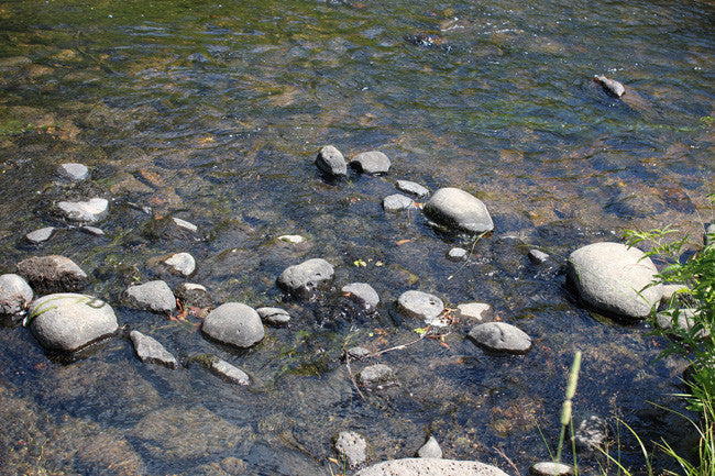 ASARCO GOLD Placer Mining Claim, Squirrel Creek, Fremont County, Idaho