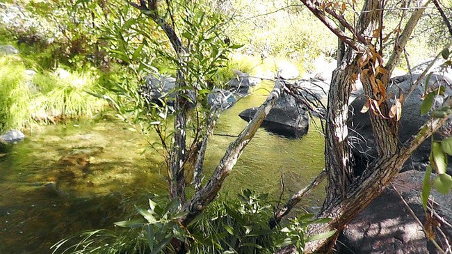 BLACK OAK Placer Mining Claim, Mineral King Mining District, Three Rivers, Tulare County, California