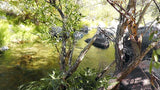 BLACK OAK Placer Mining Claim, Mineral King Mining District, Three Rivers, Tulare County, California