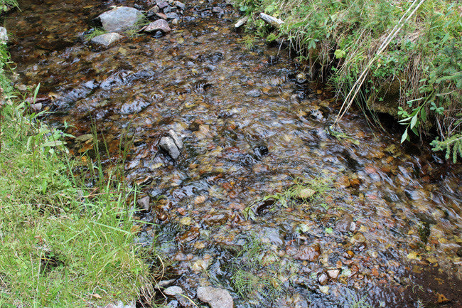 BAGLIO GOLD Placer Mining Claim, French Creek, Beaverhead County, Montana