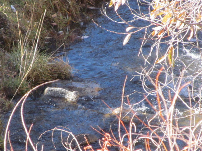 HARMONY MINE, Placer Claim, Pinto Creek, Washington County, Utah