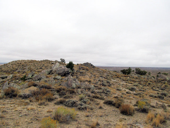 DUCK BONE JADE, Placer Mining Claim, Big Horn Jade, Fremont County, Wyoming