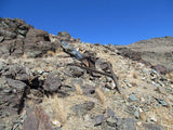 NELSON Lode Mining Claim, Johannesburg District, Kern County, California