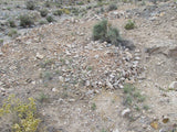 LEPRECHAUN GOLD MINE, Lode Mining Claim, Fallon, Churchill County, Nevada