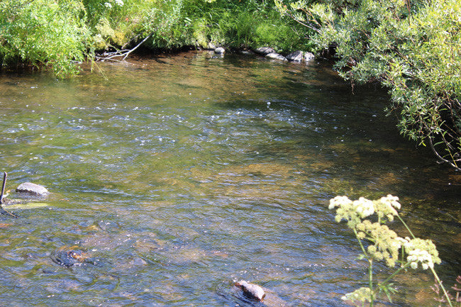 ASARCO GOLD Placer Mining Claim, Squirrel Creek, Fremont County, Idaho