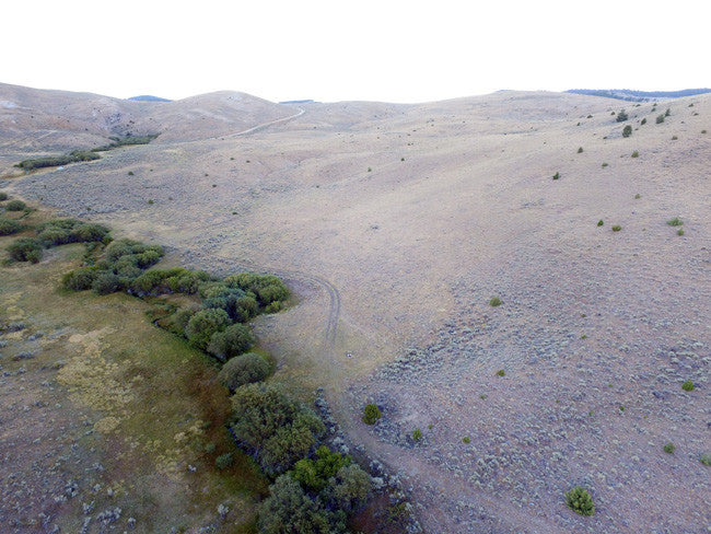 AINGEAL GOLD Placer Mining Claim, Taylor Creek, Beaverhead County, Montana