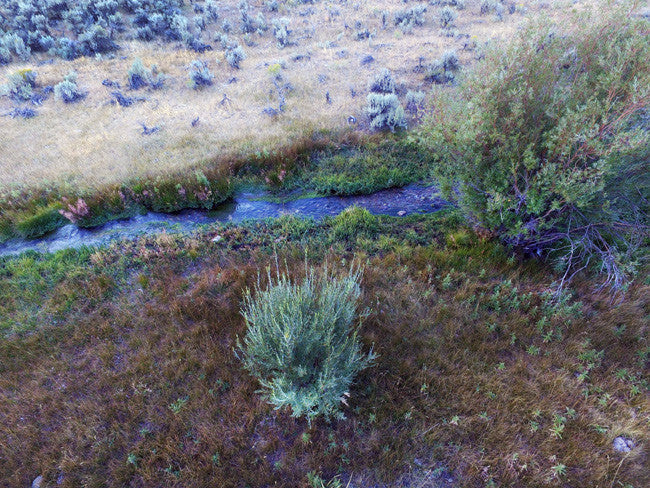ABBEY GOLD Placer Mining Claim, Taylor Creek, Beaverhead County, Montana