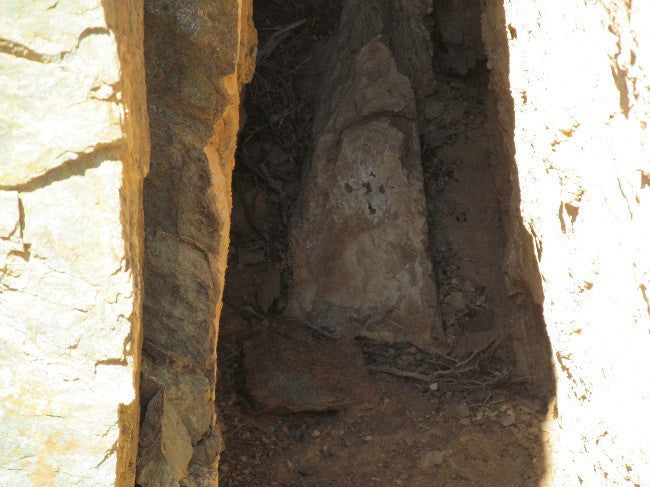 NELSON Lode Mining Claim, Johannesburg District, Kern County, California