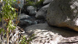 BLACK OAK Placer Mining Claim, Mineral King Mining District, Three Rivers, Tulare County, California