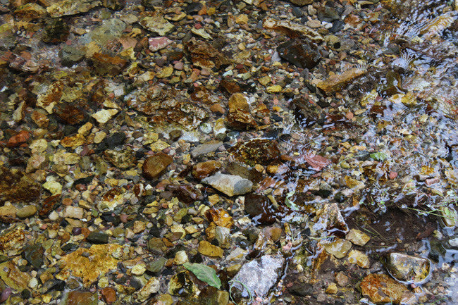 AGRICOLA GOLD Placer Mining Claim, French Creek, Beaverhead County, Montana