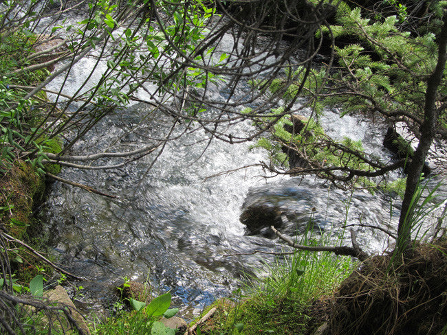 DIOR GOLD, Placer Mining Claim, N. Quartz Creek, Gunnison County, Colorado
