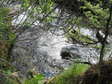 DIOR GOLD, Placer Mining Claim, N. Quartz Creek, Gunnison County, Colorado