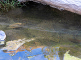 APLITE GOLD, Placer Mining Claim, Bear Creek, Grant County, New Mexico