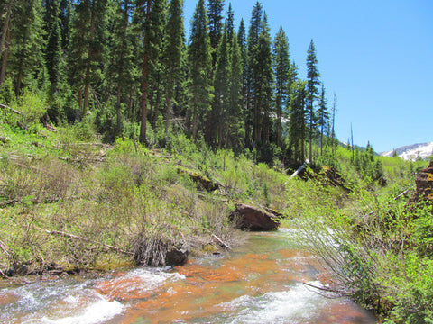 CUNNINGHAM GOLD Placer Mining Claim, S. Fork Mineral Creek, San Juan County, Colorado
