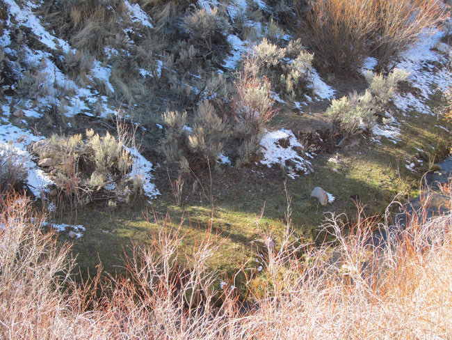 HARMONY MINE, Placer Claim, Pinto Creek, Washington County, Utah