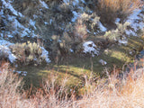 HARMONY MINE, Placer Claim, Pinto Creek, Washington County, Utah