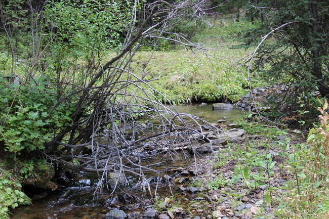 BAIRD GOLD Placer Mining Claim, French Creek, Beaverhead County, Montana