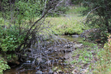 BAIRD GOLD Placer Mining Claim, French Creek, Beaverhead County, Montana