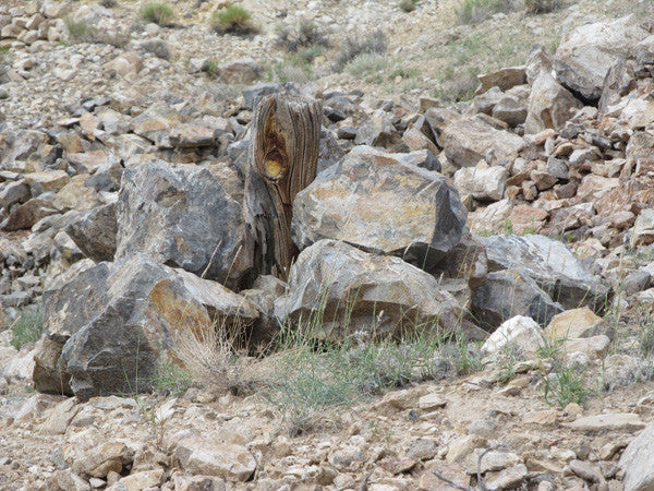 LEPRECHAUN GOLD MINE, Lode Mining Claim, Fallon, Churchill County, Nevada