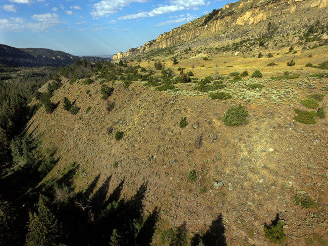 BRIDGER GOLD Placer Mining Claim, Tensleep Creek, Washakie County, Wyoming