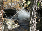 AURELIAN GOLD Placer Mining Claim, Gold Creek, Gunnison County, Colorado