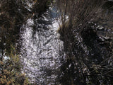 KOLOB #1 MINE, Placer Claim, Pinto Creek, Washington County, Utah