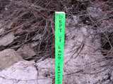 DOVE SEAT GOLD Placer Mining Claim, Dolores River, Dolores County, Colorado