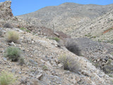 LEPRECHAUN GOLD MINE, Lode Mining Claim, Fallon, Churchill County, Nevada
