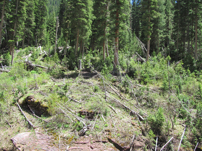 KING SOLOMON GOLD Placer Mining Claim, S. Fork Mineral Creek, San Juan County, Colorado