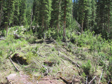 KING SOLOMON GOLD Placer Mining Claim, S. Fork Mineral Creek, San Juan County, Colorado