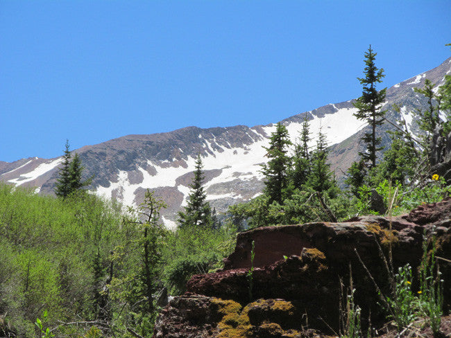 CUNNINGHAM GOLD Placer Mining Claim, S. Fork Mineral Creek, San Juan County, Colorado