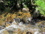 AURELIAN GOLD Placer Mining Claim, Gold Creek, Gunnison County, Colorado