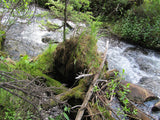 DIOR GOLD, Placer Mining Claim, N. Quartz Creek, Gunnison County, Colorado