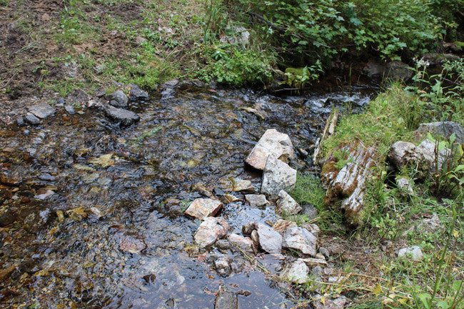 AGRICOLA GOLD Placer Mining Claim, French Creek, Beaverhead County, Montana