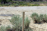 ALOVA GOLD Placer Mining Claim, Cottonwood Creek, Washakie County, Wyoming