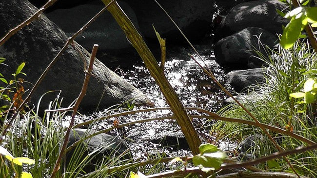 BLACK OAK Placer Mining Claim, Mineral King Mining District, Three Rivers, Tulare County, California