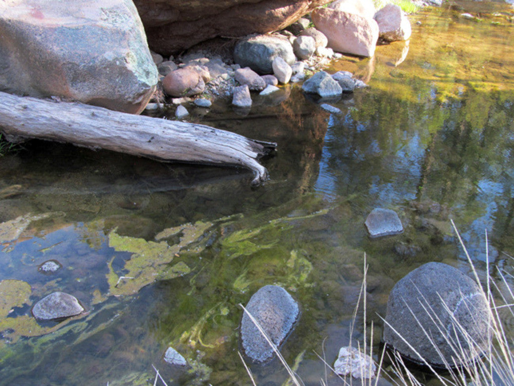 APLITE GOLD, Placer Mining Claim, Bear Creek, Grant County, New Mexico