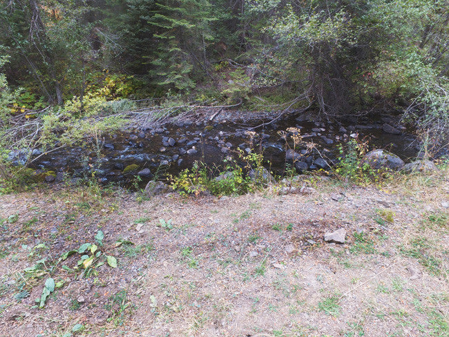 CARTWRIGHT GOLD Placer Mining Claim, Granite Boulder Creek, Grant County, Oregon