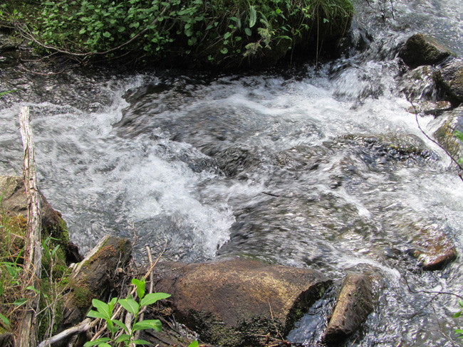 DIOR GOLD, Placer Mining Claim, N. Quartz Creek, Gunnison County, Colorado