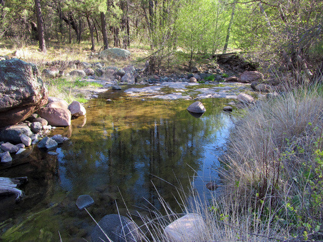 APLITE GOLD, Placer Mining Claim, Bear Creek, Grant County, New Mexico