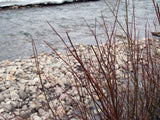 BETTY EYRE GOLD Placer Mining Claim, Dolores River, Dolores County, Colorado