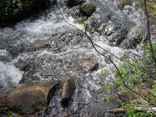 DIOR GOLD, Placer Mining Claim, N. Quartz Creek, Gunnison County, Colorado