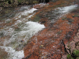 CUNNINGHAM GOLD Placer Mining Claim, S. Fork Mineral Creek, San Juan County, Colorado