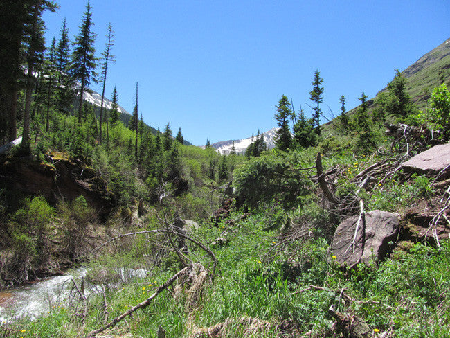 KING SOLOMON GOLD Placer Mining Claim, S. Fork Mineral Creek, San Juan County, Colorado