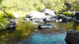 BLACK OAK Placer Mining Claim, Mineral King Mining District, Three Rivers, Tulare County, California