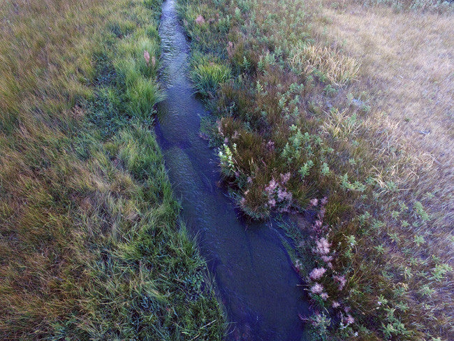 ATHENEA GOLD Placer Mining Claim, Taylor Creek, Beaverhead County, Montana